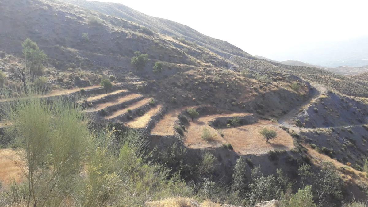 Terreno en venta en Ragol, Almería photo 3