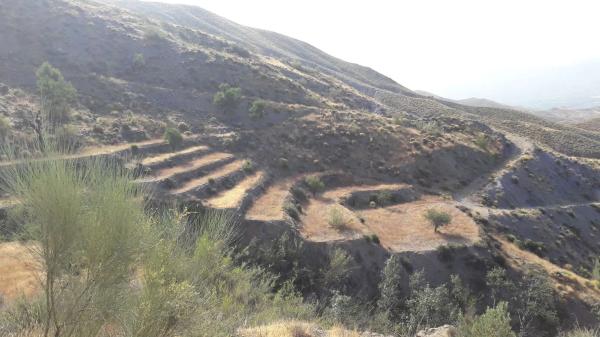Terreno en Rágol s/n photo 3