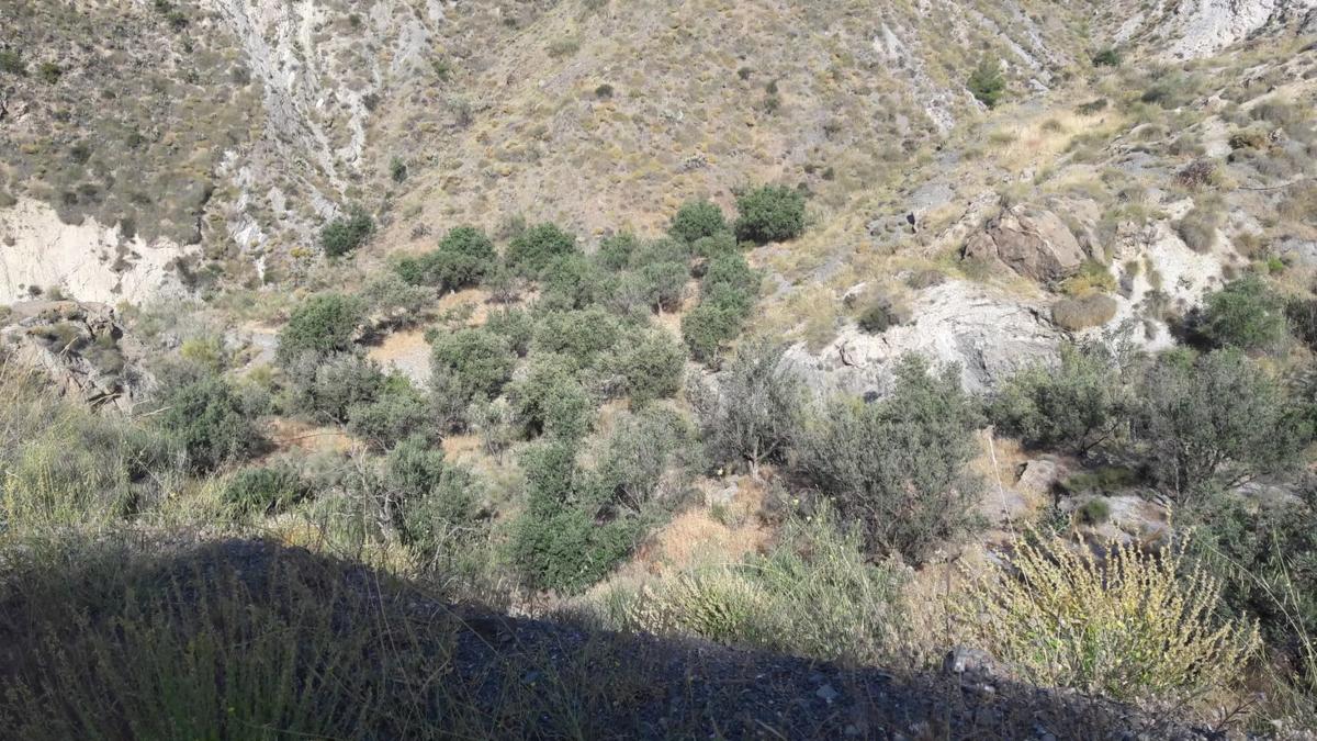 Terreno en venta en Ragol, Almería photo 5