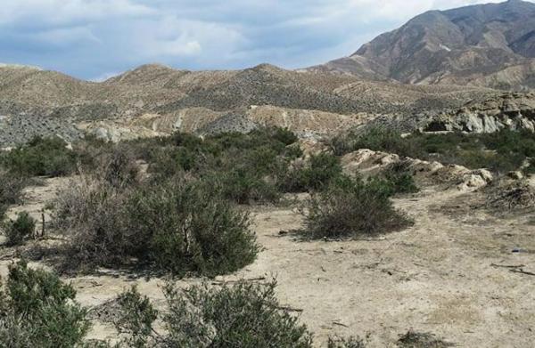 Terreno en Gador photo 2