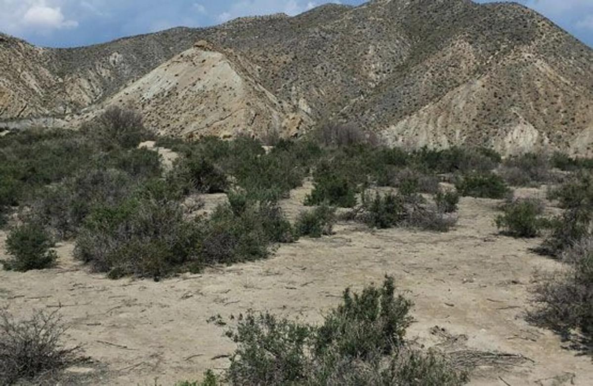 Terreno en venta en Gador, Almería photo 4