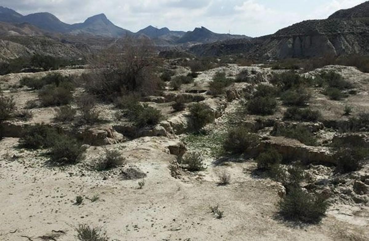 Terreno en venta en Gador, Almería photo 5
