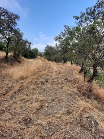 Terreno en Al-5402 s/n photo 2