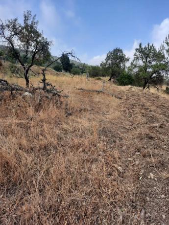Terreno en Al-5402 s/n photo 4