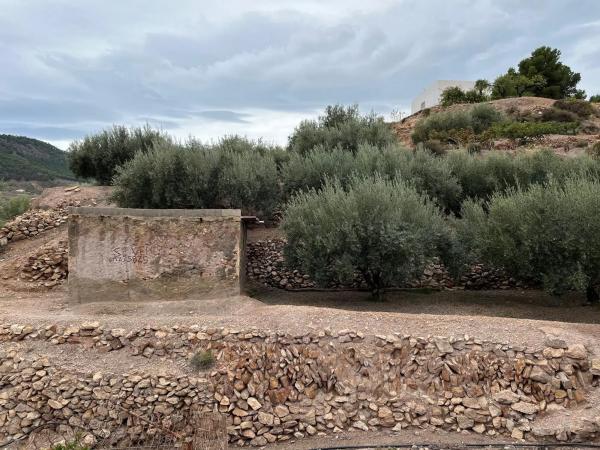 Terreno en Alhama de Almeria s/n thumbnail 1
