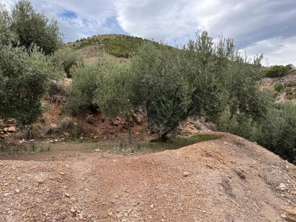 Terreno en Alhama de Almeria s/n thumbnail 2