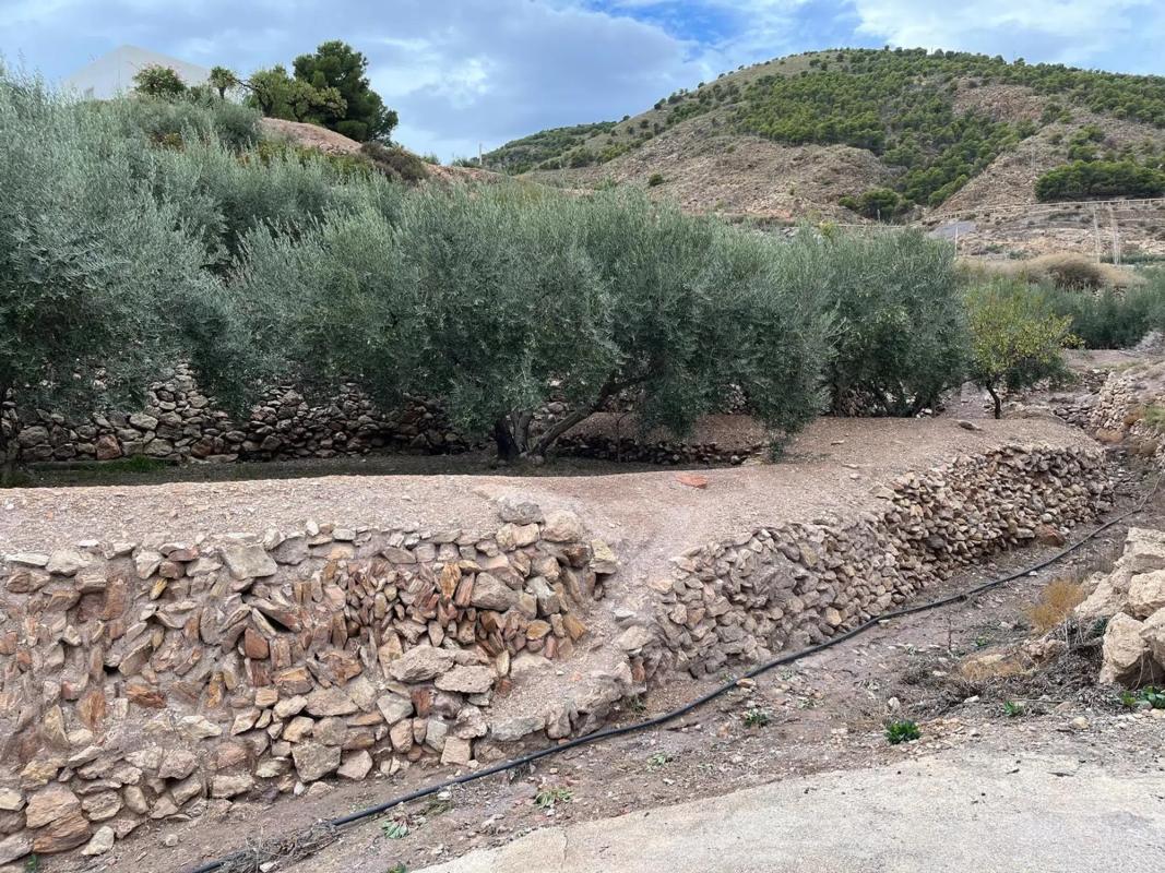 Działka na sprzedaż w Alhama de Almería, Almería photo 4