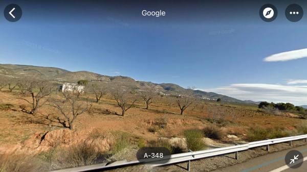 Terreno en Paraje del Llano s/n photo 1