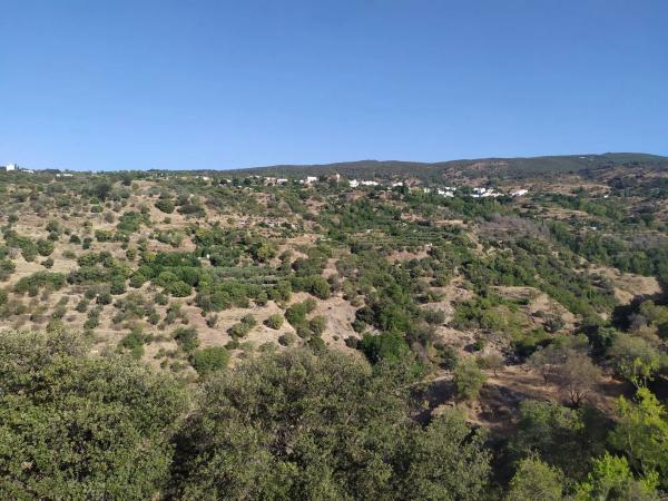 Terreno en Al-5402 s/n photo 3