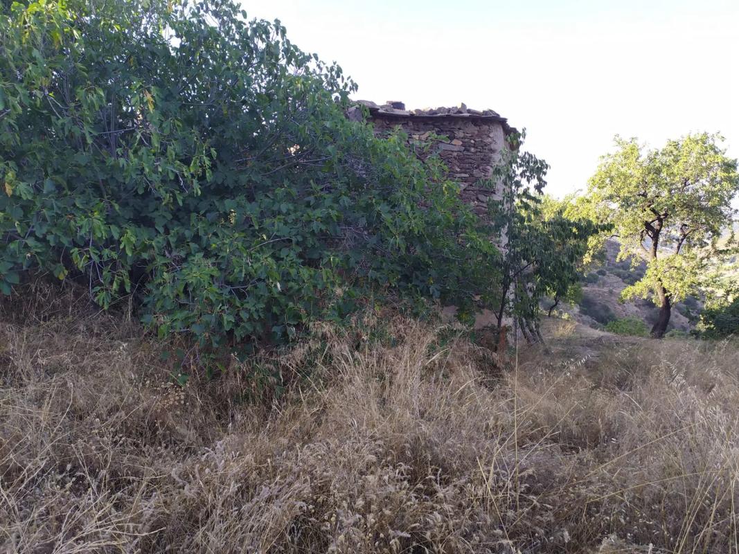 Участок земли на продажу в Патерна дель Рио, Алмерия photo 4