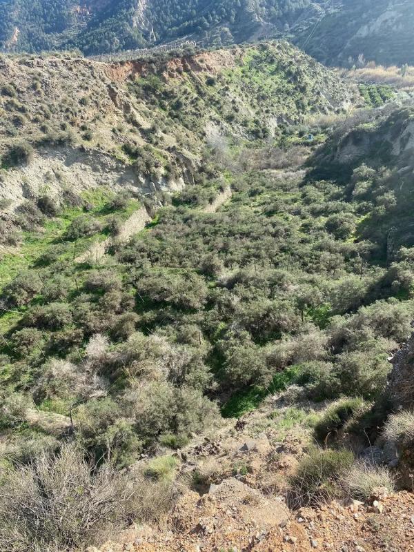 Terreno en venta en Canjayar, Almería photo 3