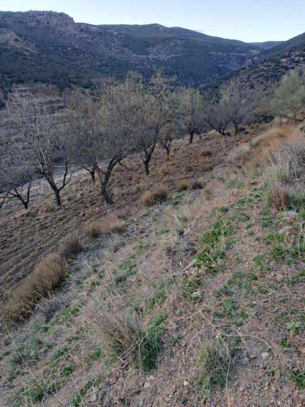 Działka na sprzedaż w Bayarcal, Almería photo 1