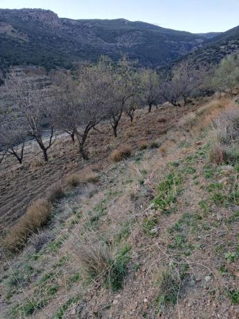 Terreno en al-5402 s/n photo 1