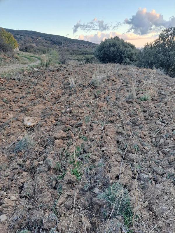 Działka na sprzedaż w Bayarcal, Almería photo 2