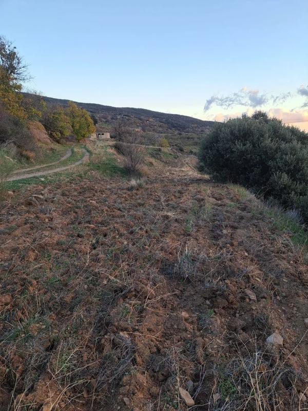 Działka na sprzedaż w Bayarcal, Almería photo 3
