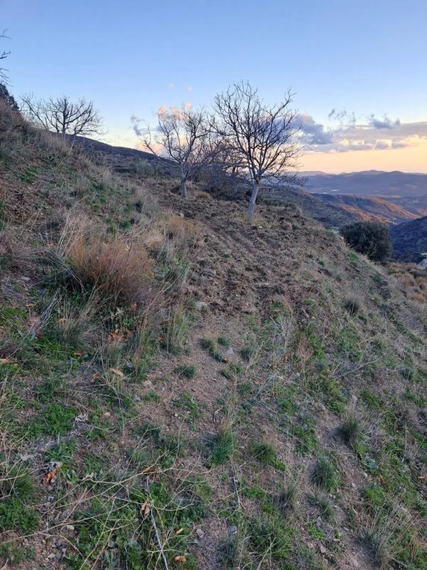 Działka na sprzedaż w Bayarcal, Almería photo 4