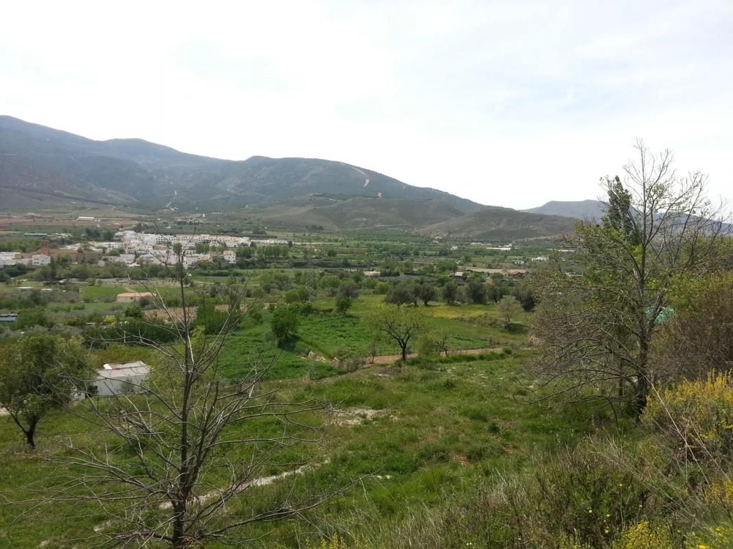 Участок земли на продажу в Фондон, Алмерия photo 2