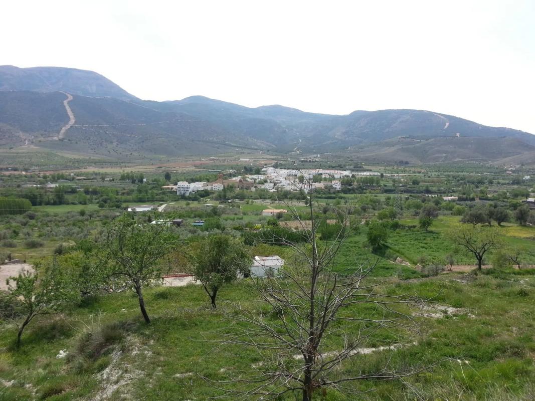 Участок земли на продажу в Фондон, Алмерия photo 3