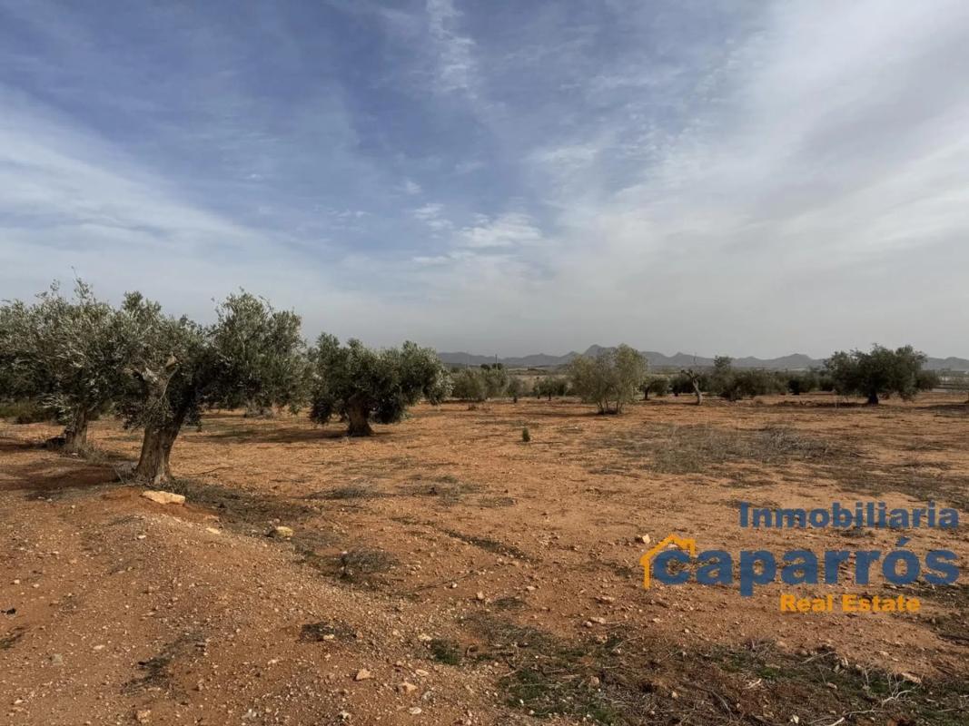 Terreno en venta en Pulpi, Almería photo 2