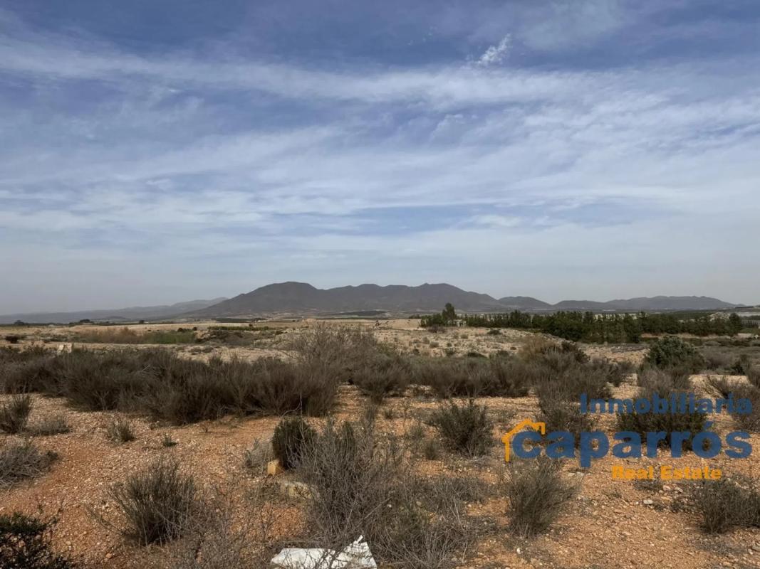Terreno en venta en Pulpi, Almería photo 5
