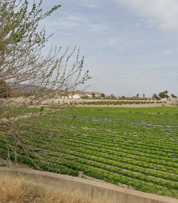 Terreno en venta en Cuevas del Almanzora, Almería photo 1