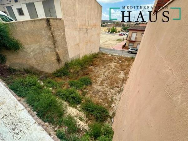Terreno en calle San Jose Barranco, 22 photo 4