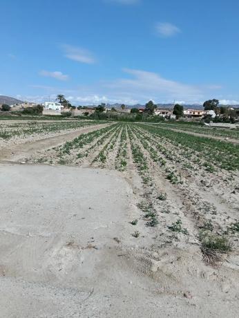 Terreno en Paraje de arnillas, 10 thumbnail 2