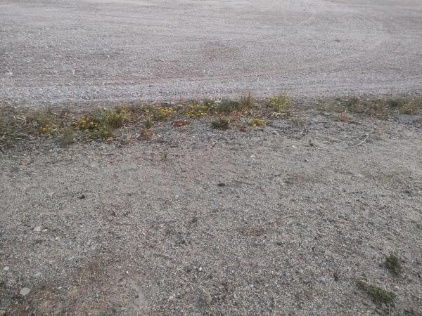 Terreno en Las Canalejas s/n photo