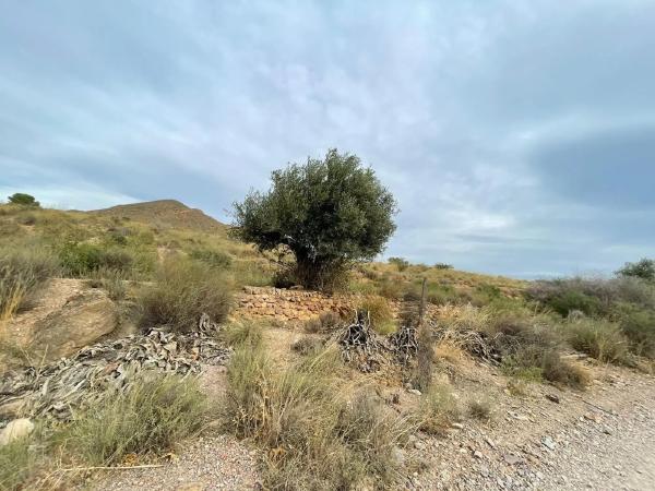 Terreno en Vía photo 2