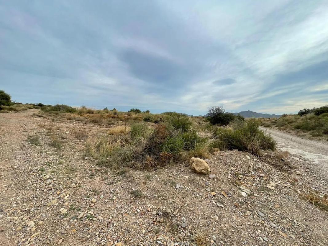 Terreno en venta en Cuevas del Almanzora, Almería photo 5