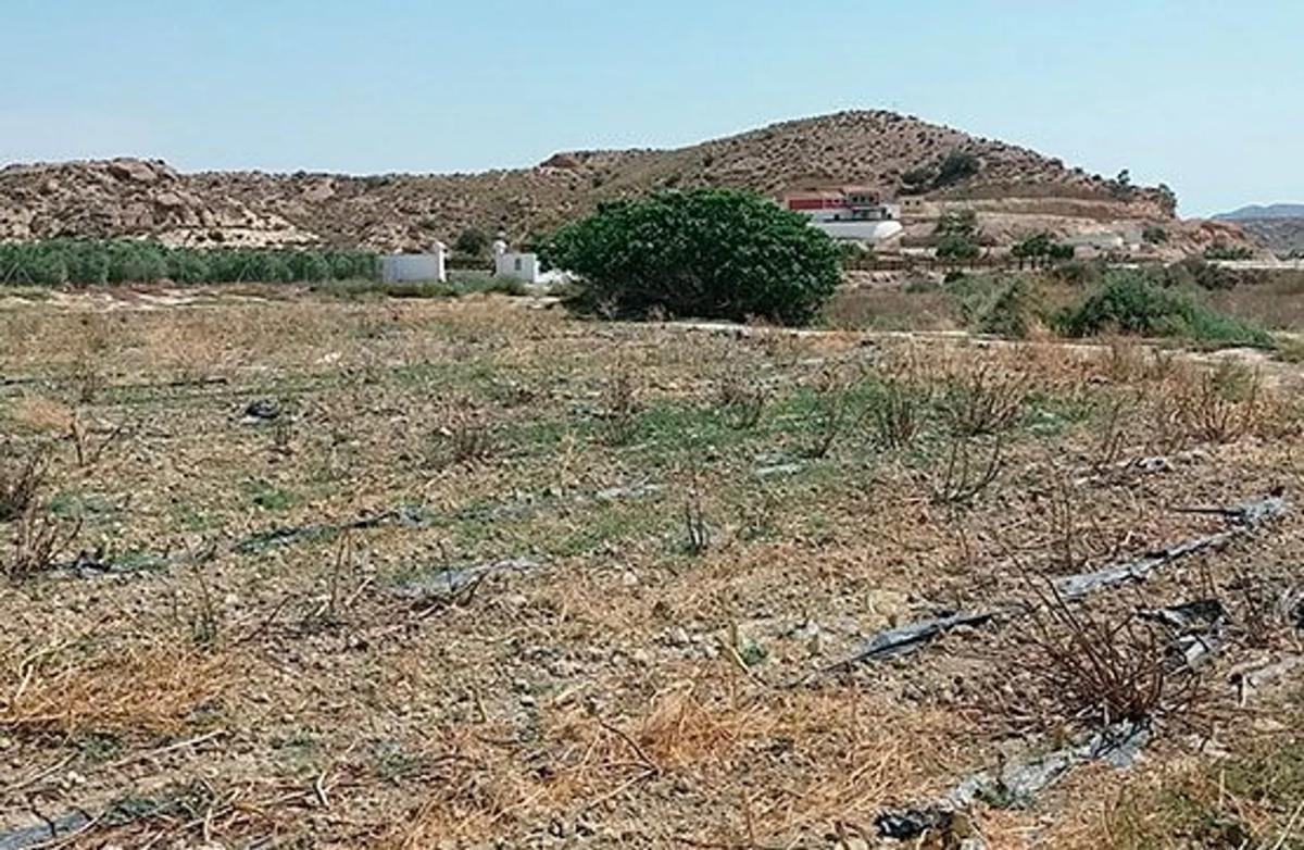 Terreno en venta en Cuevas del Almanzora, Almería photo 3