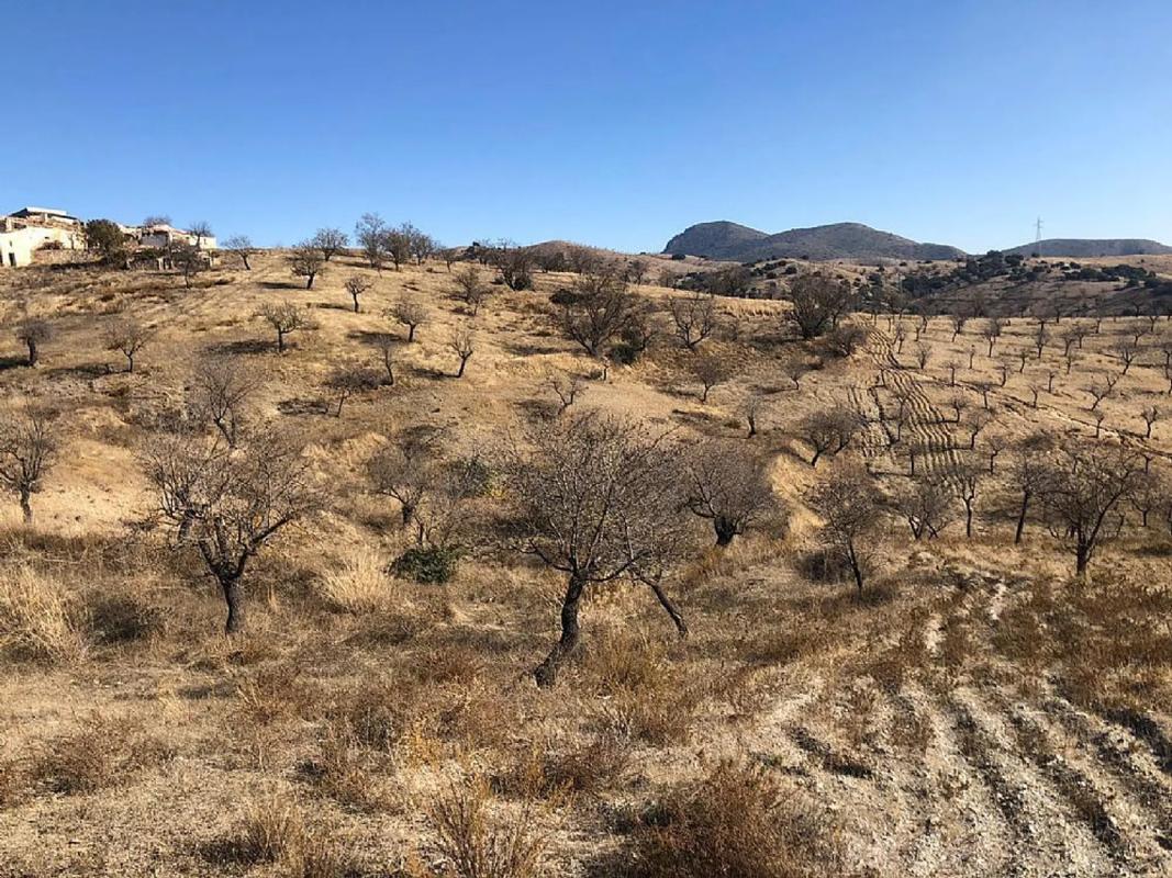 Land for sale in Huércal-Overa, Almería photo 4