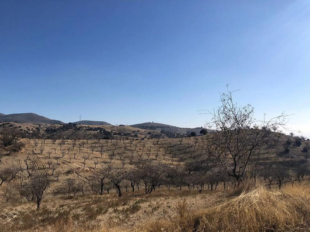 Land for sale in Huércal-Overa, Almería photo 5