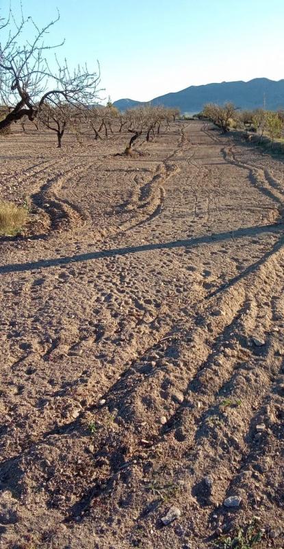 Terreno en venta en Huercal Overa, Almería photo 1