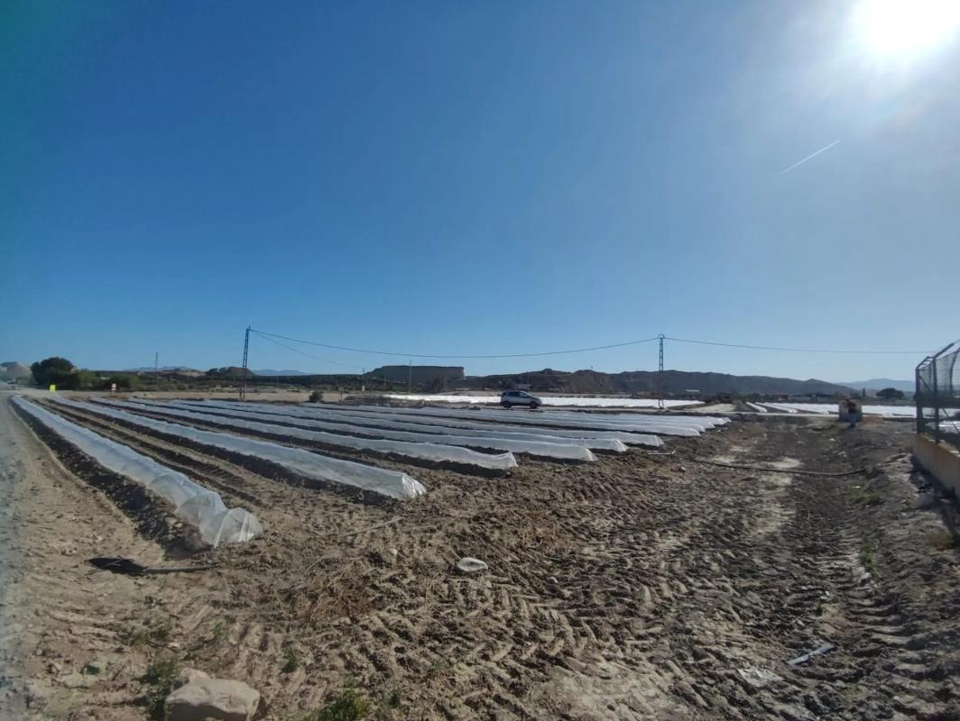 Terreno en venta en Cuevas del Almanzora, Almería photo 2