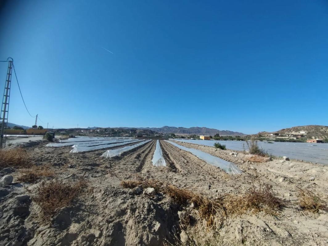 Terreno en venta en Cuevas del Almanzora, Almería photo 5