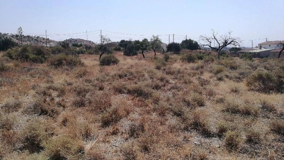 Land for sale in Huércal-Overa, Almería photo 1