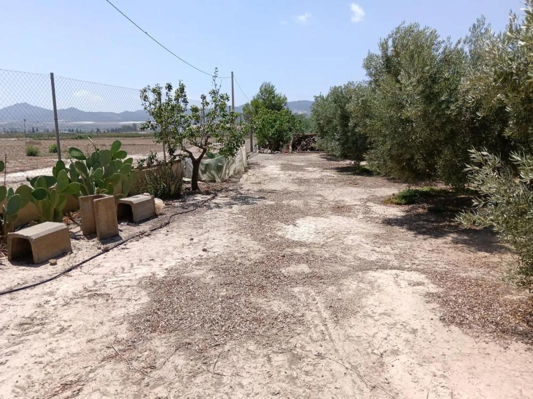 Działka na sprzedaż w Huercal Overa, Almería photo 3