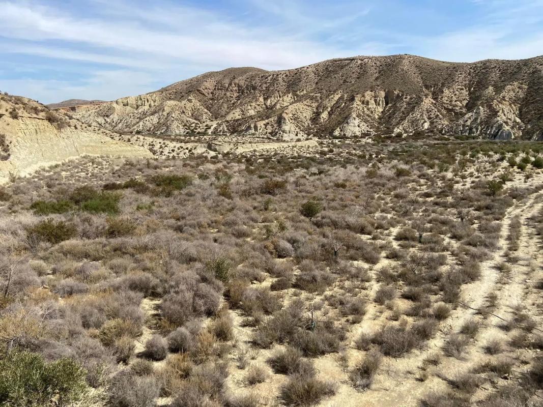 Land for sale in Cuevas del Almanzora, Almería photo 1