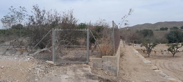 Terreno en Paraje los Menas s/n photo 2