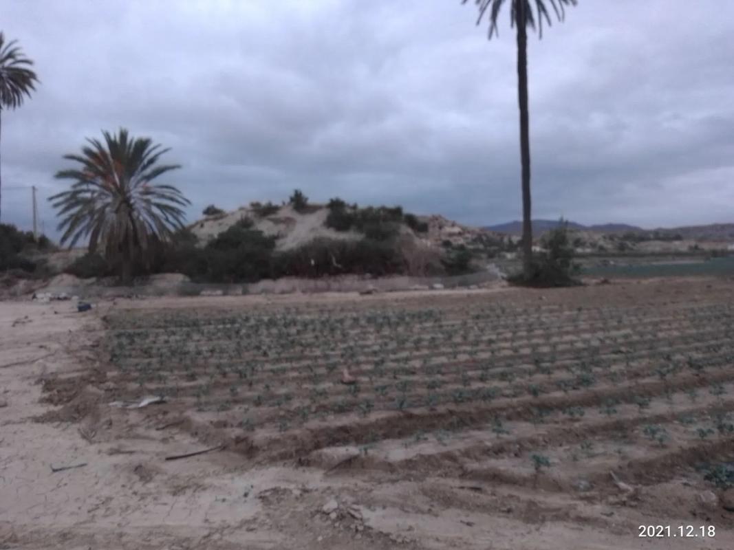 Land for sale in Cuevas del Almanzora, Almería photo 1