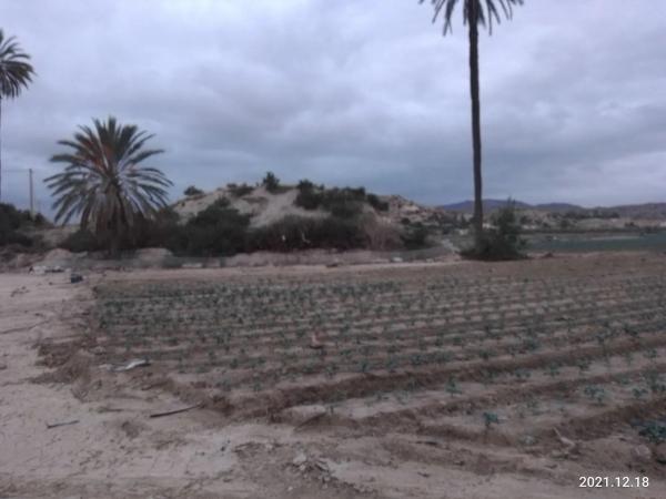 Terreno en A-332, km 5 photo 1