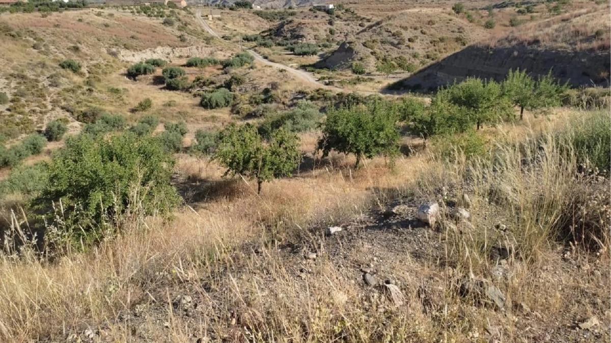 Działka na sprzedaż w Huercal Overa, Almería photo 3