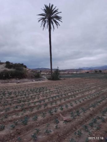 Terreno en A-332, km 5 thumbnail 2