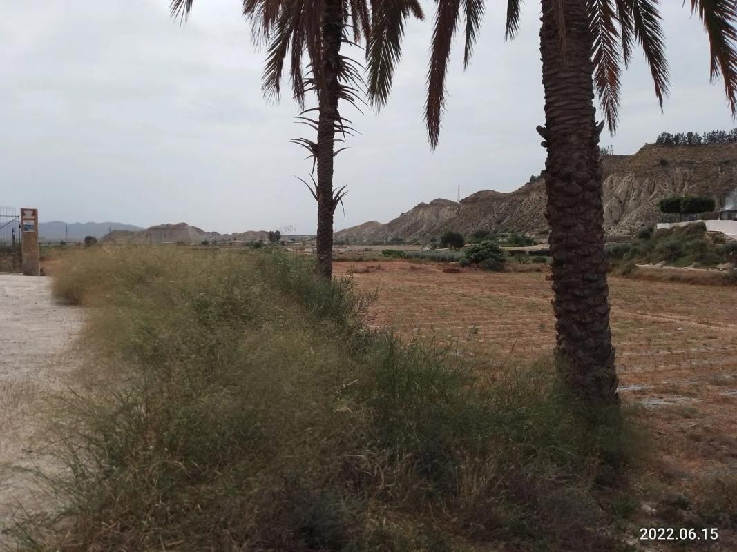 Land for sale in Cuevas del Almanzora, Almería photo 4