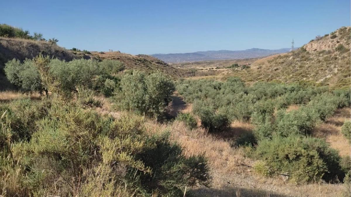 Działka na sprzedaż w Huercal Overa, Almería photo 4