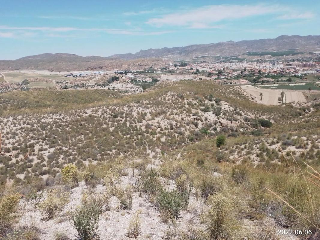 Land for sale in Cuevas del Almanzora, Almería photo 5