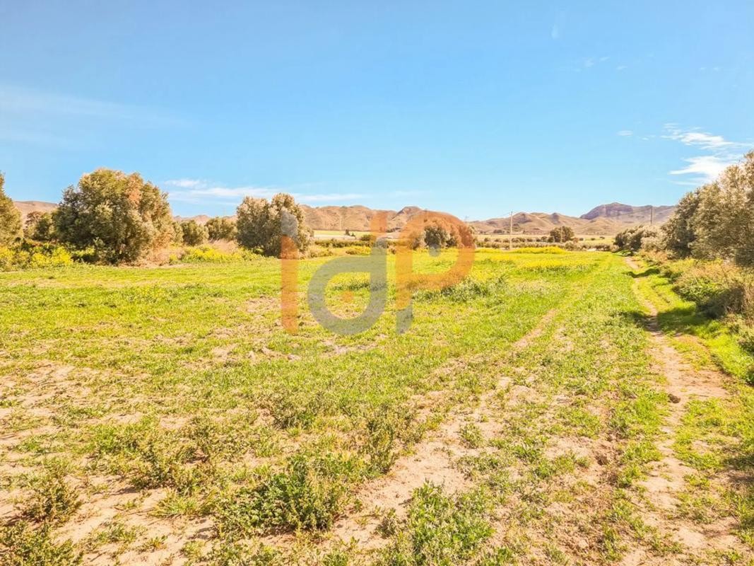 Terreno en venta en Pulpi, Almería photo 2
