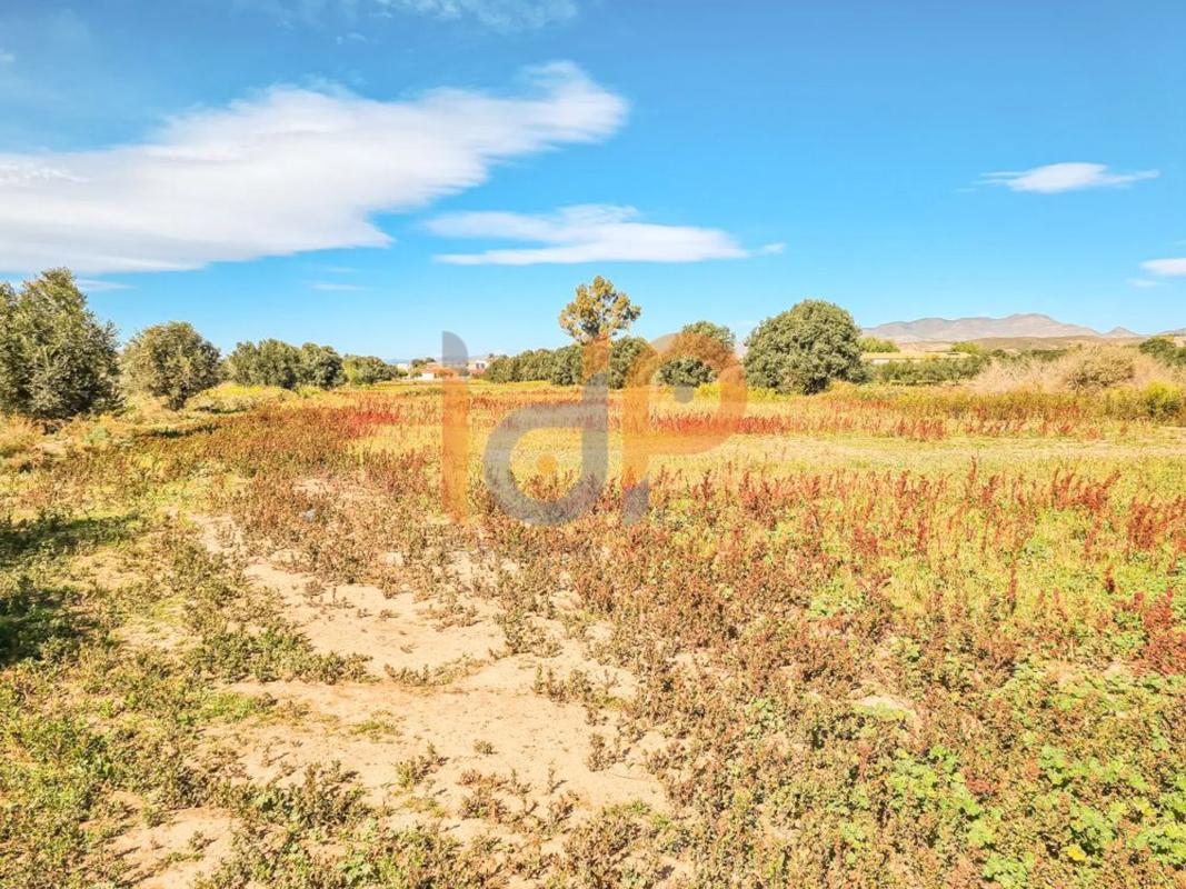 Terreno en venta en Pulpi, Almería photo 3
