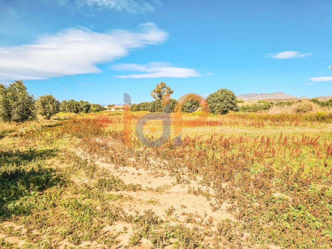 Terreno en venta en Pulpi, Almería photo 4